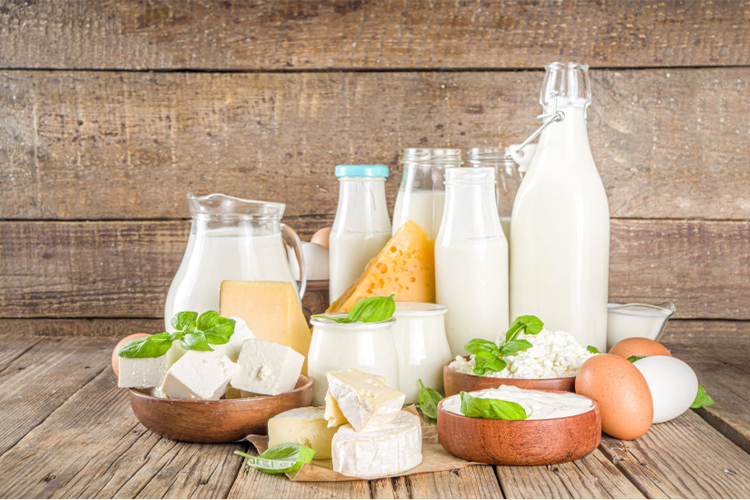 Fast Zone Trading Dairy Products and Eggs Bahrain