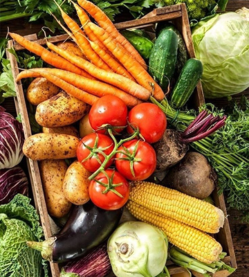 Fast Zone Trading Preserved Fruit and Vegetables Bahrain
