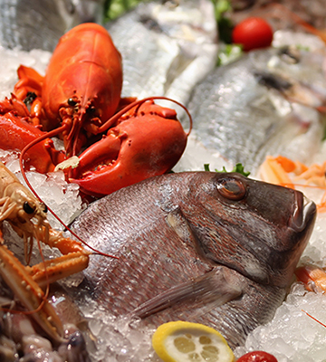 Fast Zone Trading Processed Seafood Bahrain